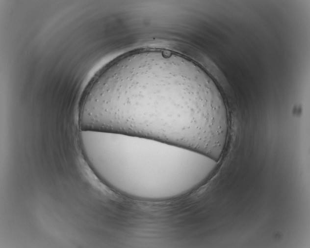X0000111001036200906191139
