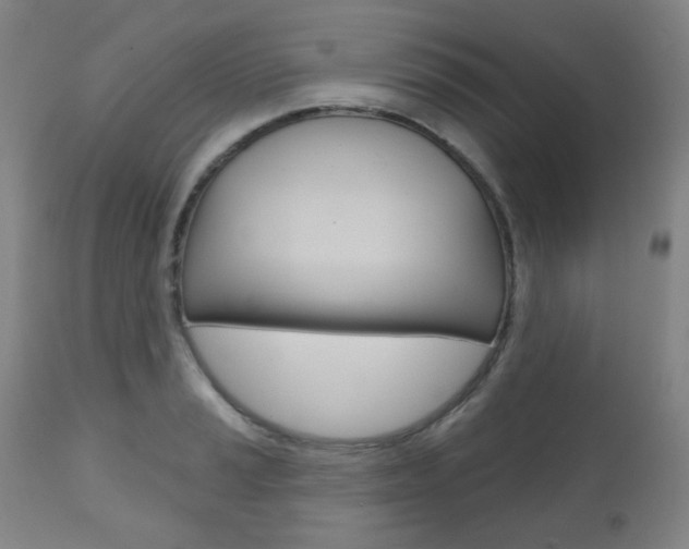 X0000111001037200906191139