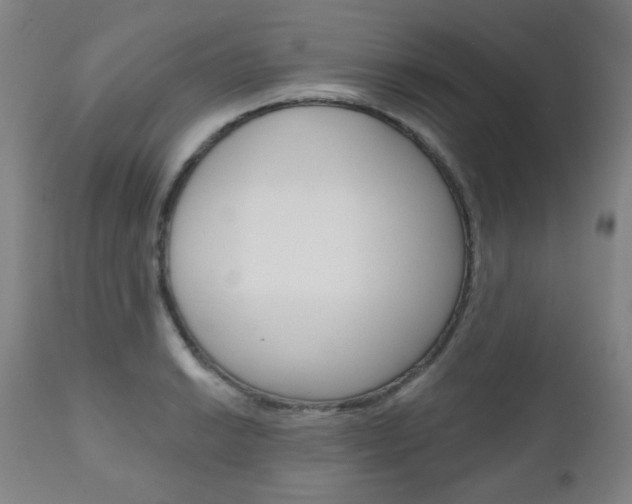X0000111001038200906191139