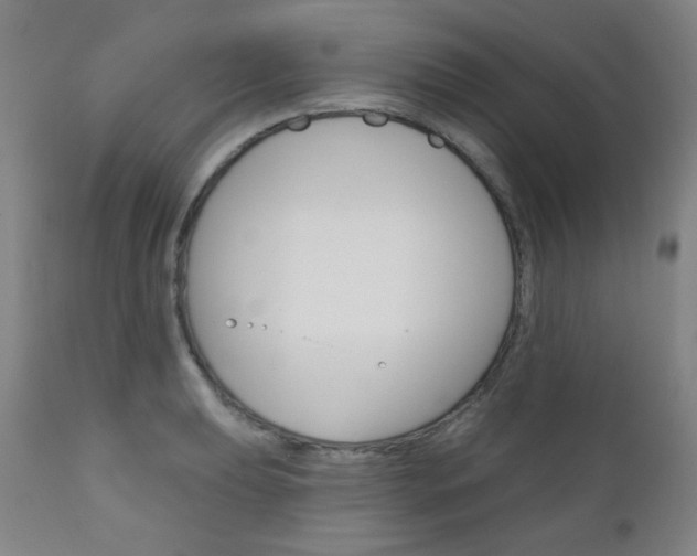 X0000111001039200906191139