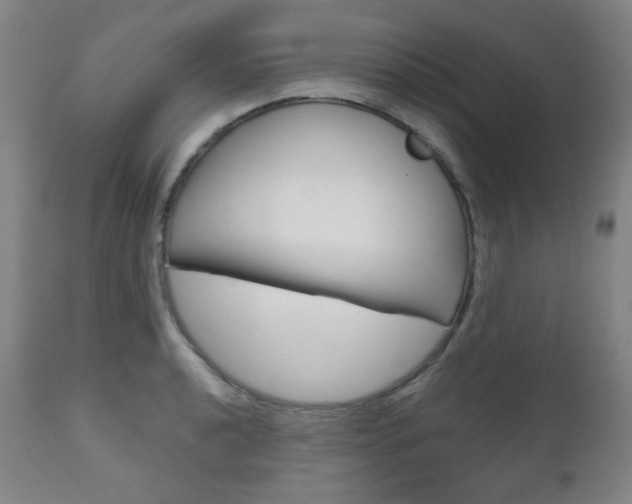 X0000111001040200906191139