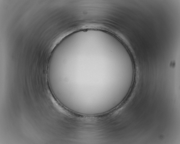 X0000111001041200906191139