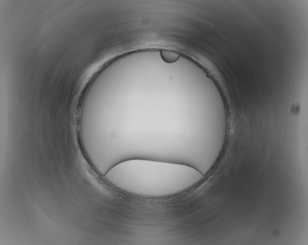 X0000111001043200906191139