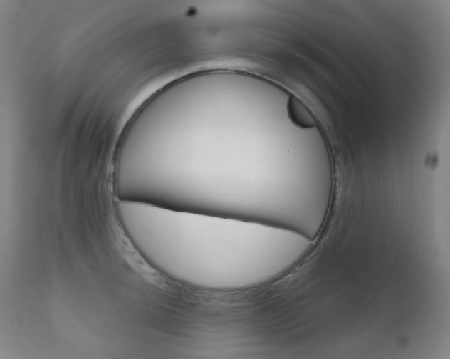 X0000111001044200906191139
