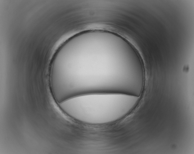 X0000111001045200906191139