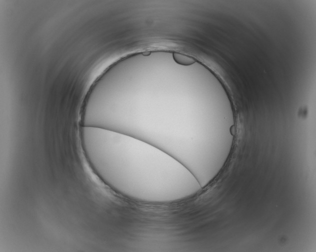 X0000111001047200906191139