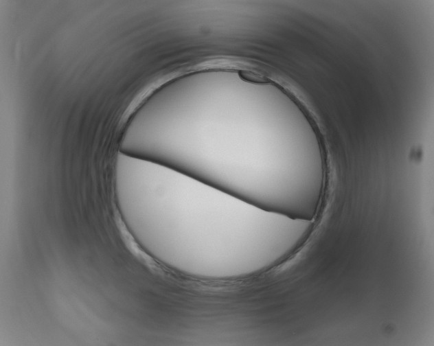 X0000111001049200906191139
