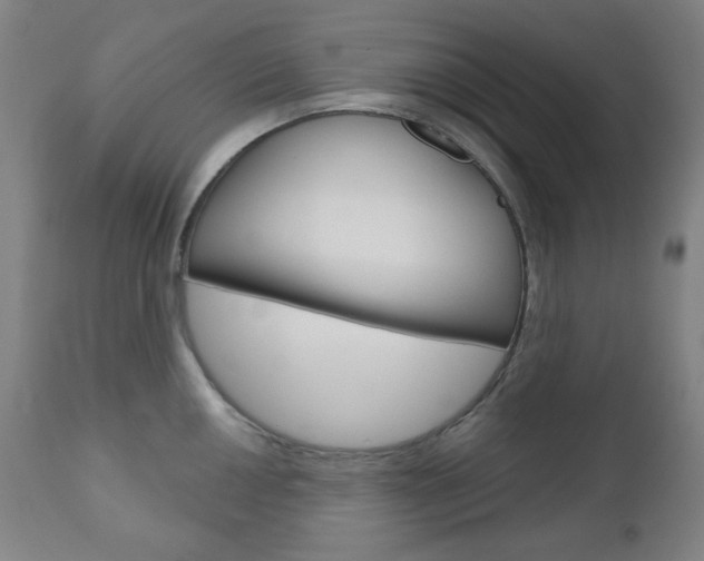 X0000111001050200906191139