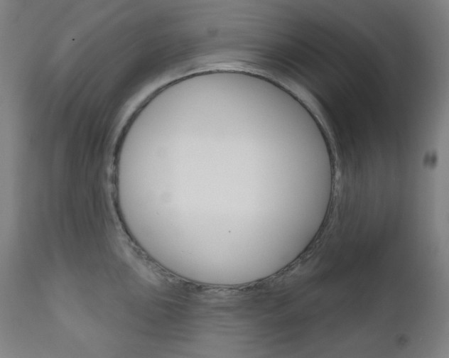 X0000111001051200906191139