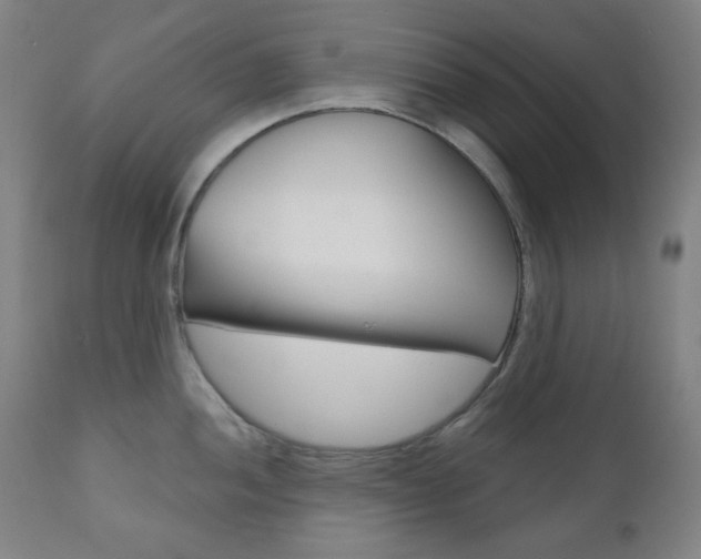 X0000111001052200906191139