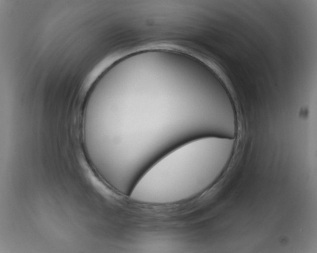 X0000111001054200906191139