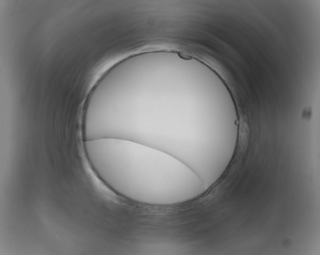 X0000111001055200906191139