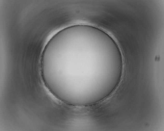 X0000111001056200906191139
