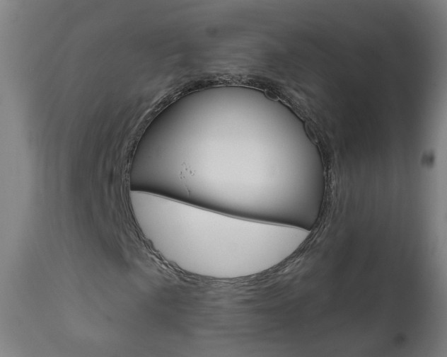 X0000111001057200906191138