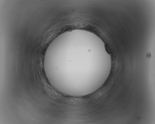 X0000111001058200906191138