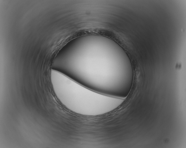 X0000111001060200906191138
