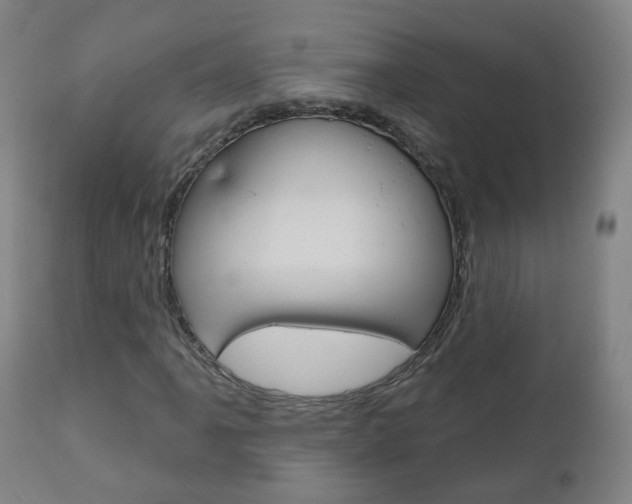 X0000111001061200906191138