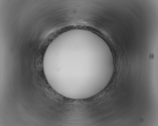 X0000111001063200906191138