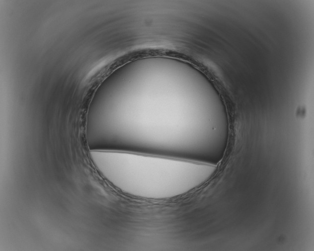 X0000111001064200906191138
