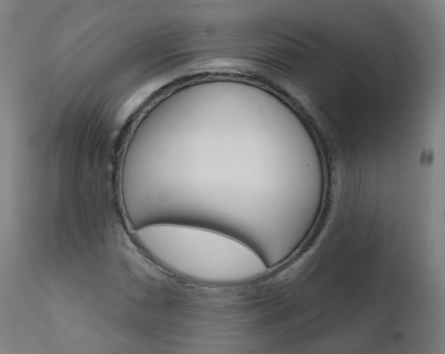 X0000111001066200906191138