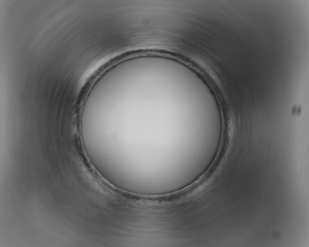 X0000111001069200906191138