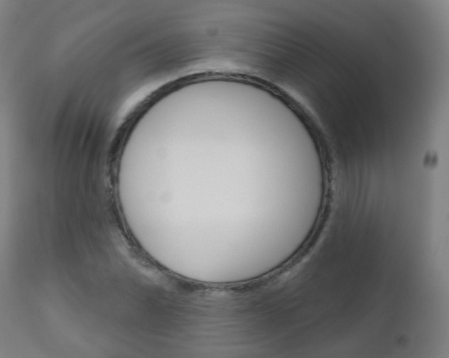 X0000111001070200906191138