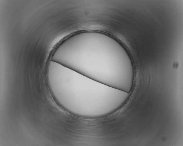 X0000111001071200906191138
