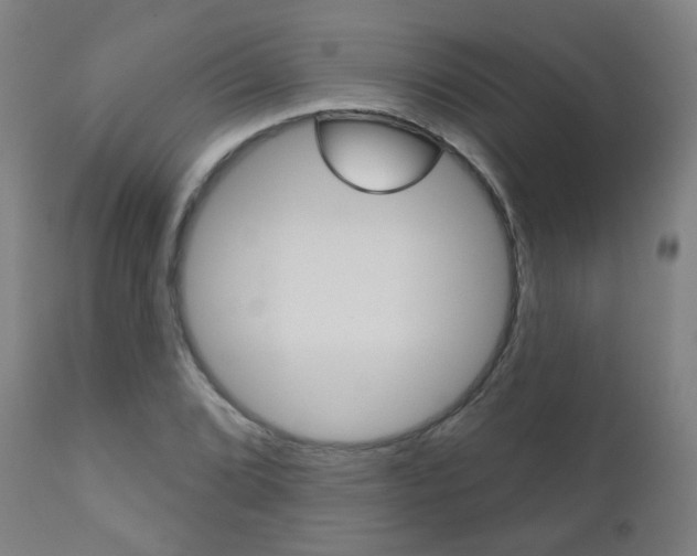 X0000111001072200906191138