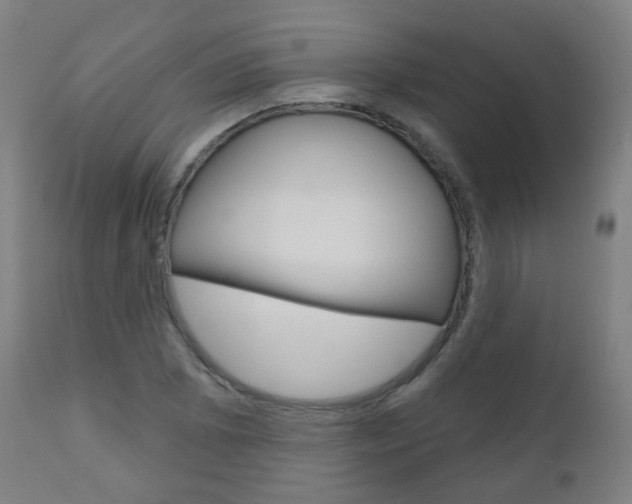 X0000111001073200906191138