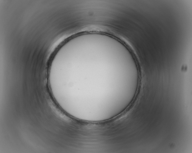 X0000111001075200906191138
