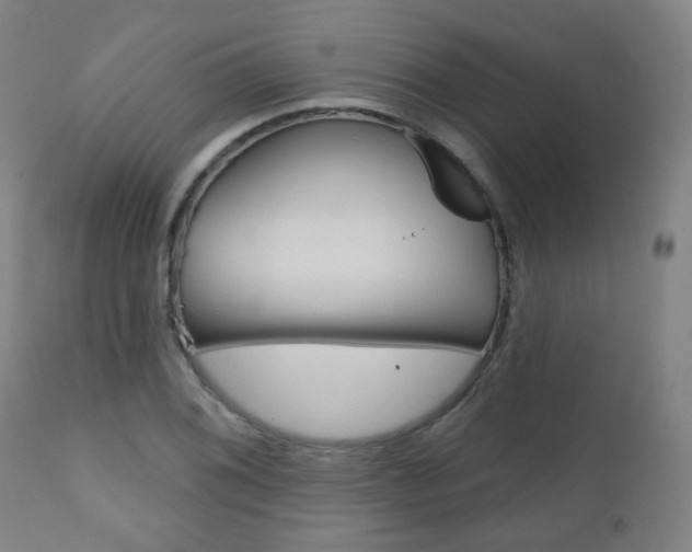 X0000111001076200906191138