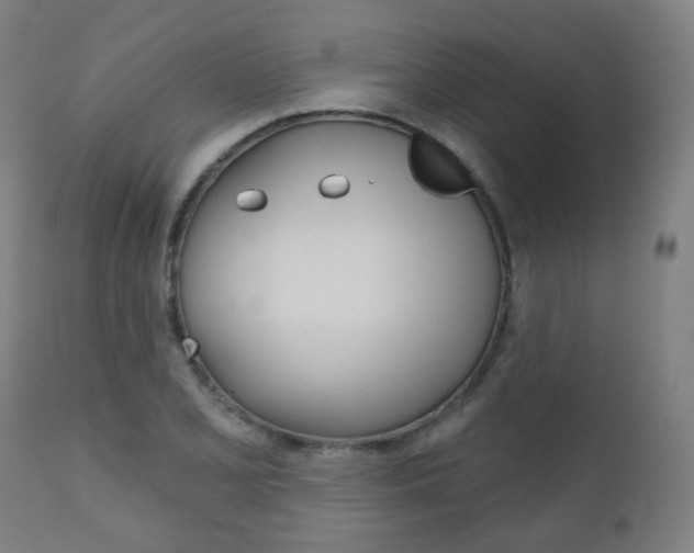 X0000111001077200906191138