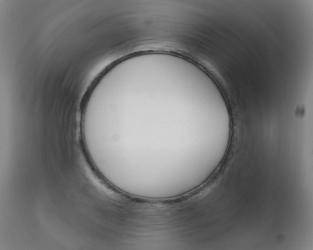 X0000111001079200906191138