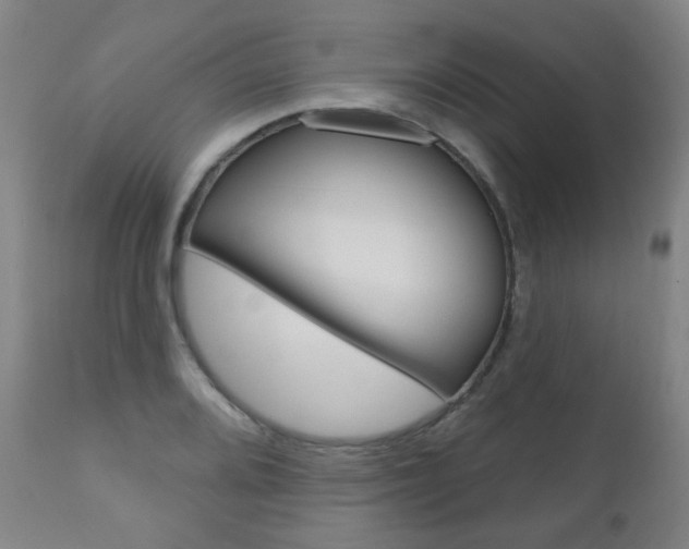 X0000111001080200906191138