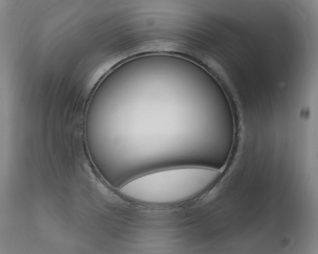 X0000111001081200906191138