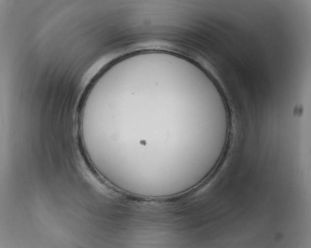 X0000111001082200906191138