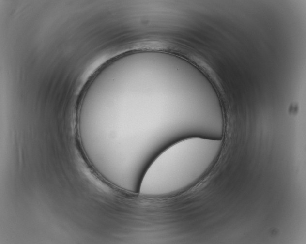 X0000111001083200906191138