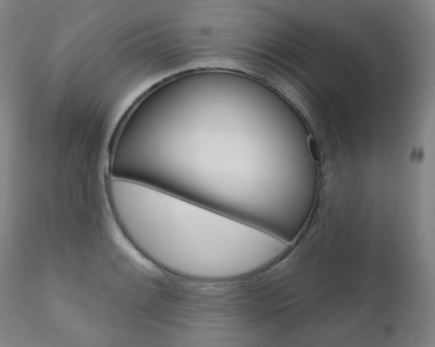 X0000111001084200906191138