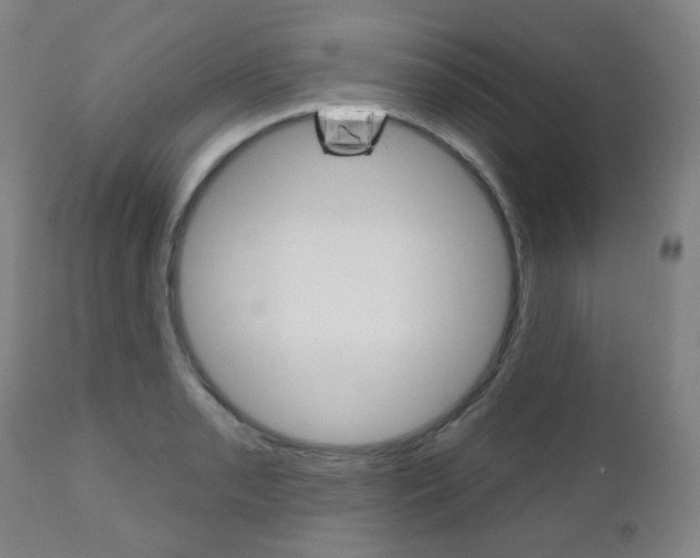 X0000111001085200906191138