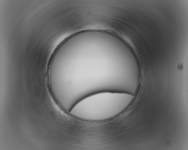 X0000111001087200906191138