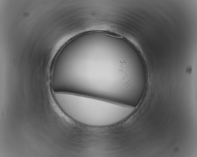 X0000111001088200906191138