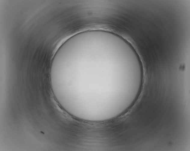 X0000111001089200906191138