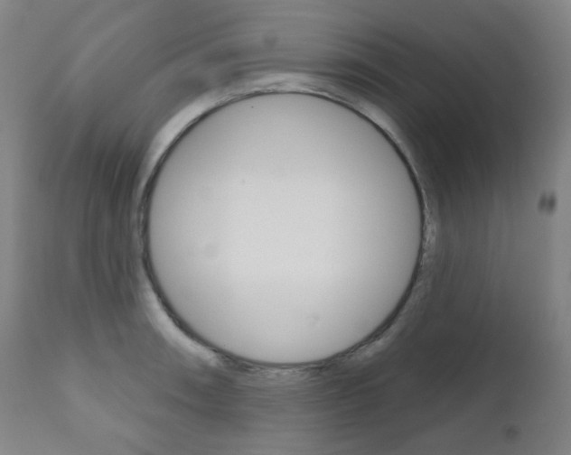 X0000111001090200906191138