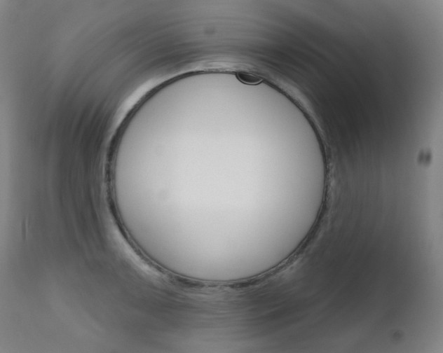 X0000111001091200906191138