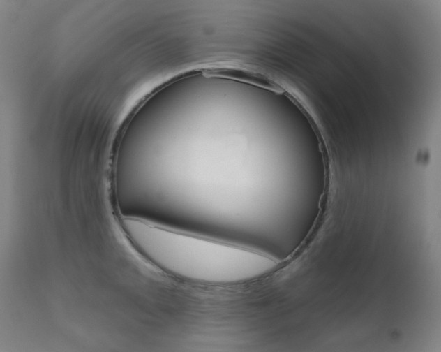 X0000111001093200906191138
