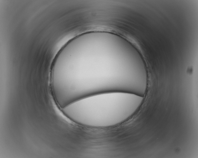 X0000111001095200906191138