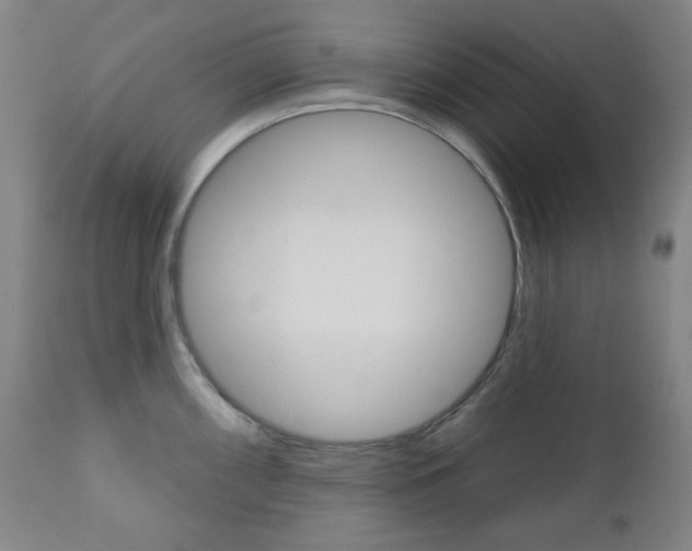 X0000111001098200906191138