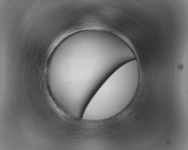 X0000111001099200906191138
