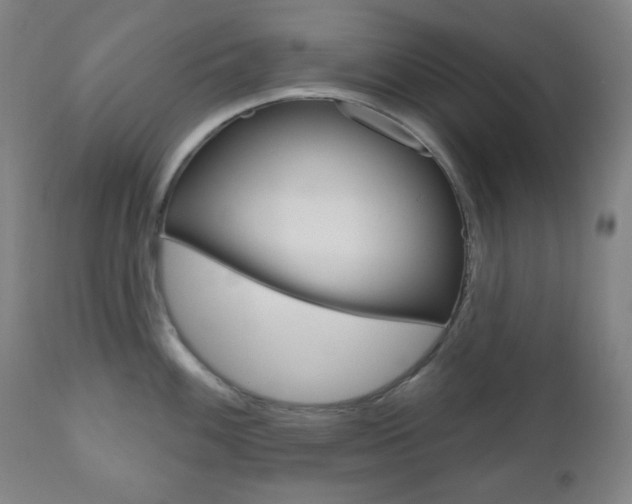 X0000111001100200906191138