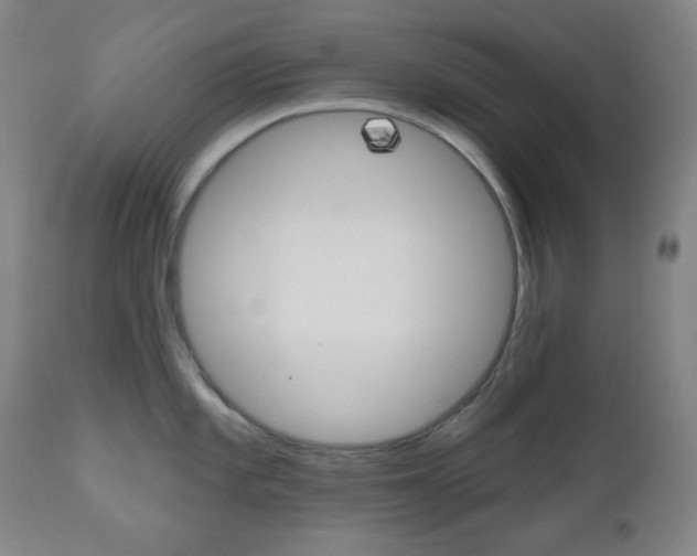 X0000111001101200906191138